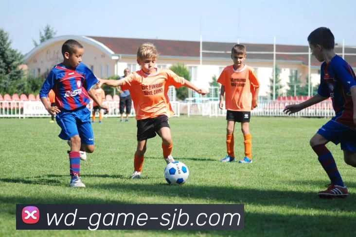 WD游戏，WD游戏，WD游戏官网，WD游戏入口，WD游戏APP品牌故事