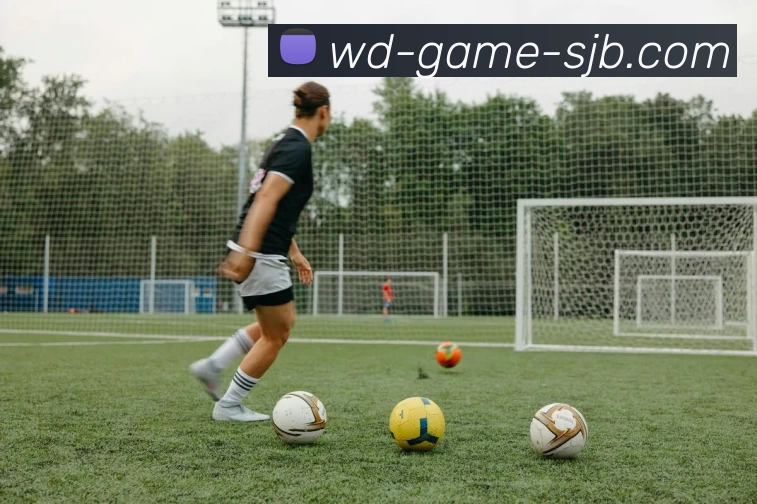 WD游戏，WD游戏，WD游戏官网，WD游戏入口，WD游戏APP服务体系